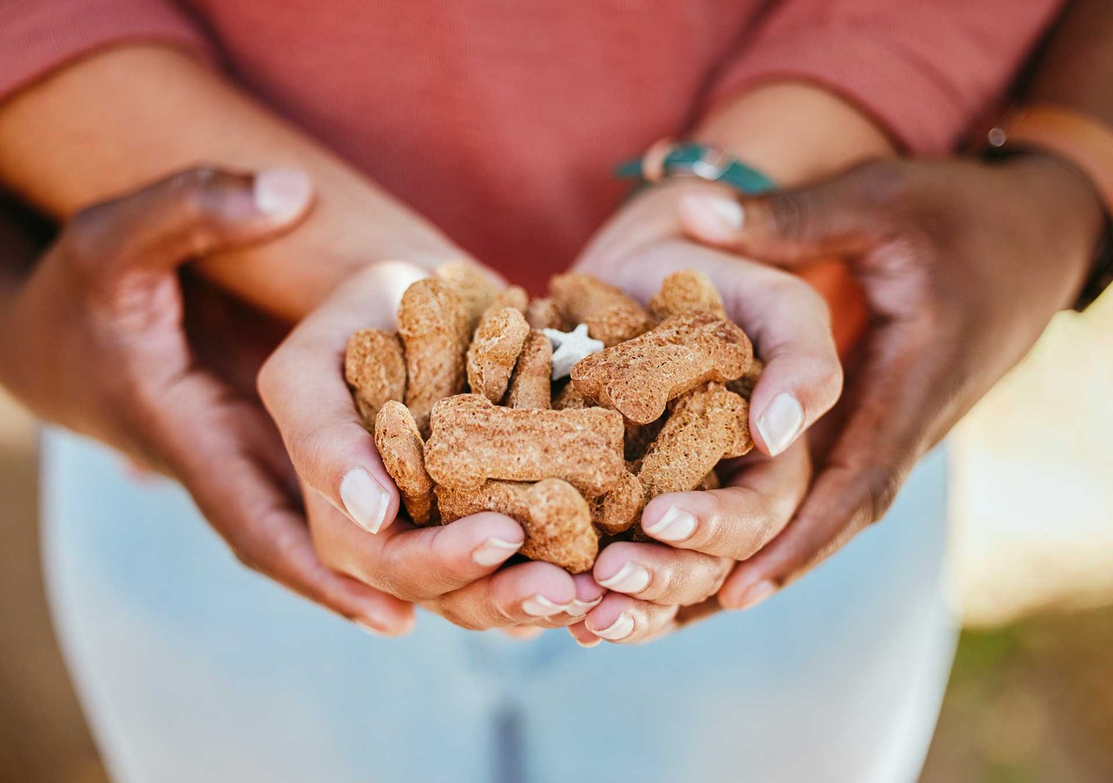 rottweiler puppy male and female available